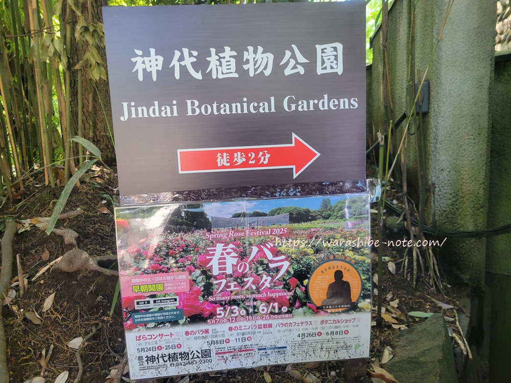 神代植物公園バラフェスタ